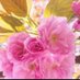 袁琴 (@yuanqin47682062) Twitter profile photo 袁琴 (@yuanqin47682062) Twitter profile photo
