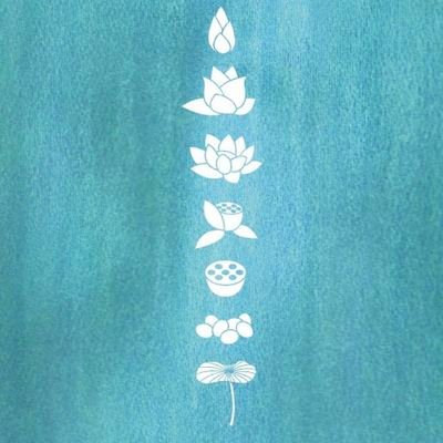 大本山清浄華院 浄土宗開宗850年慶讃事業
LOTUS WEEKEND~いのちから考える幸せの在り方~
令和5年11月3日~5日