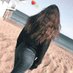 ميمي نينو M+N (@maryoulabatnia) Twitter profile photo ميمي نينو M+N (@maryoulabatnia) Twitter profile photo