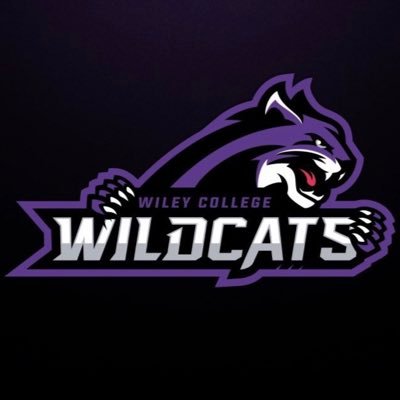 The official Twitter page for Undergraduate Admissions at Wiley College. #GoForthInspired