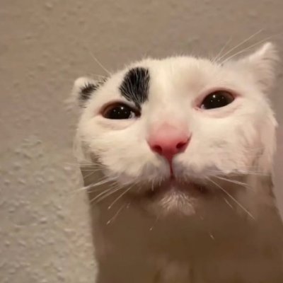 ghostさんのプロフィール画像