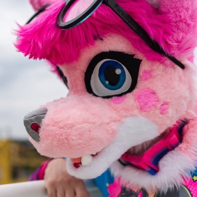 Male | He/They | Bi/Poly | 26 | Inflatable Pink Wolf | 18+ ONLY, SFW/NSFW Content! 🔞 | No RP! | Soft-Blocking Unknown Locked Accounts!