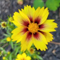 KingB (@kingb1616) 's Twitter Profile