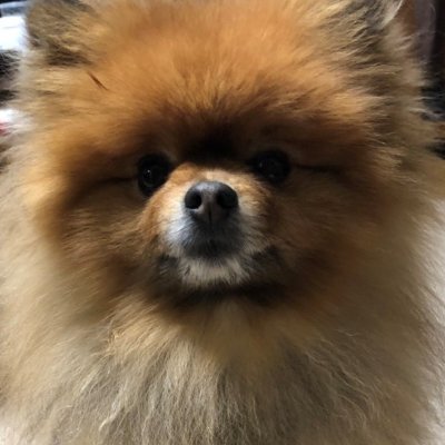 acidbathcorrupt's profile picture. 雑食音楽好き