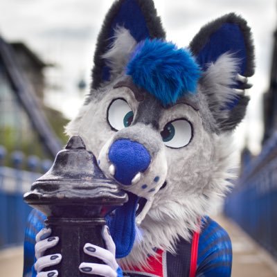 Moved to https://t.co/OfENA2kl7f and https://t.co/imJrOvOXfU • Wolfdog, software engineer/game dev, transit nerd, cyclist, fursuiter • 29, he/they θΔ