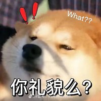 莊坤益 (@ntzy171) 's Twitter Profile