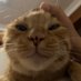 Yike (@yikejushi33) Twitter profile photo Yike (@yikejushi33) Twitter profile photo