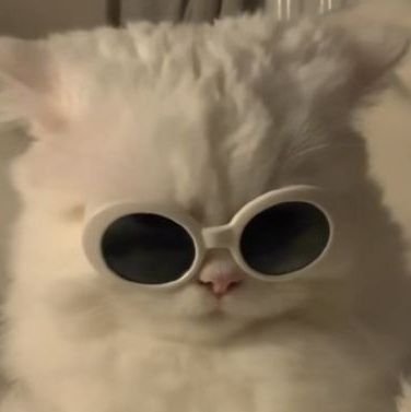 / transaction acc / - ̗̀ legit client ́-̖ off replies = task taken