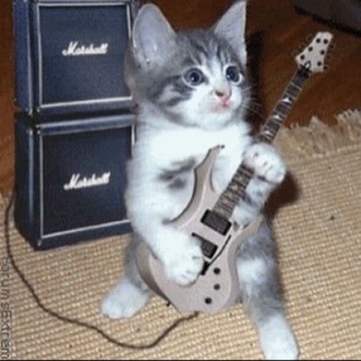 chat