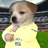 Javi Mis (@javipikachu123) 's Twitter Profile