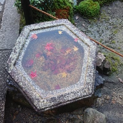 emtk2828's profile picture. 紅葉めぐりが趣味です
日本が大好きです