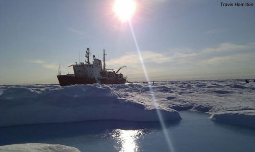 travish12's profile picture. Teledyne CARIS Product Manager