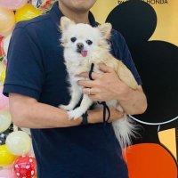 TSUBAME（尾林衡史） (@tsubame_oba) Twitter profile photo