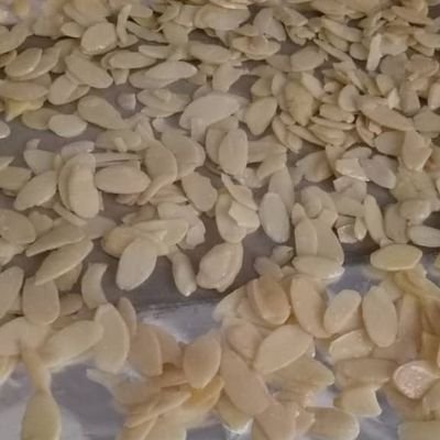 bitgoo99's profile picture. 