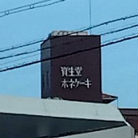 ゆきちゃん きらちゃんxユキヤナギ🩷 週末のお花見写真パート① 春って