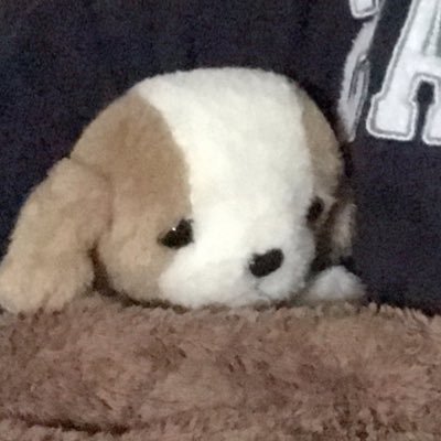 Ajisai_is's profile picture. ぬいぐるみ達が暮らす家の家主です。