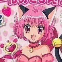I love Tokyo Mew Mew so much! I also love the color Pink, as well as cute and sparkly things