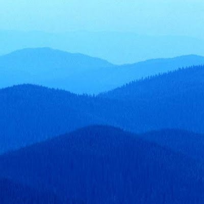 rozo_urreg16514's profile picture. 