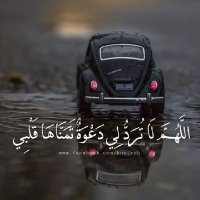 الطير الشريد (@alshryd7857) Twitter profile photo