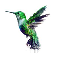 Stirling & Rose (@stirlingandrose) 's Twitter Profile