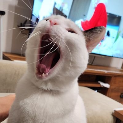 himkammm's profile picture. angjay