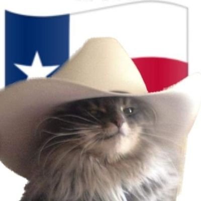 ✝️ Conservative. 
Texas Nationalist.
Friend to felines 🐈