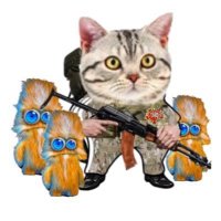 Sneffles NAFO Cat Boycotts Orclympics(@ItsSneffles) 's Twitter Profile Photo