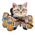 Sneffles NAFO Cat 🇺🇦 🇨🇦 🇲🇽 🇬🇱🇵🇦🇹🇼🇬🇧 (@itssneffles) Twitter profile photo Sneffles NAFO Cat 🇺🇦 🇨🇦 🇲🇽 🇬🇱🇵🇦🇹🇼🇬🇧 (@itssneffles) Twitter profile photo