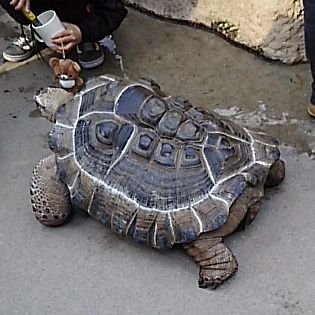 YLG6yvuJhT57257's profile picture. 