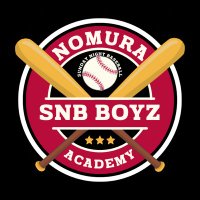 Sunday Night Baseball on Oahu(@SNBonOAHU) 's Twitter Profile Photo