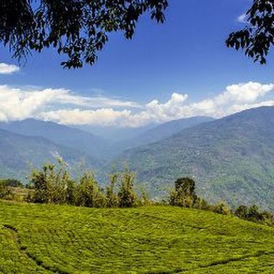 dharam9818's profile picture. in just explore