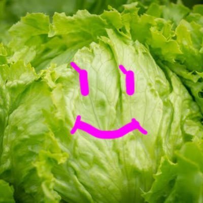 丸岡修造の煮浸し　🥬🗿🧊さんのプロフィール画像