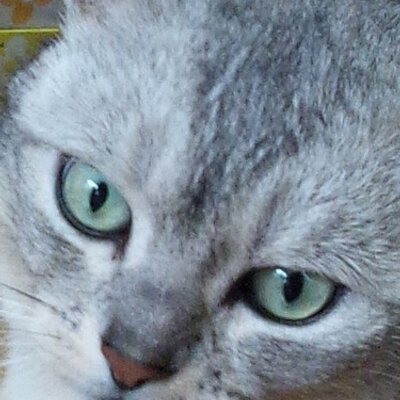 植木sanさんのプロフィール画像