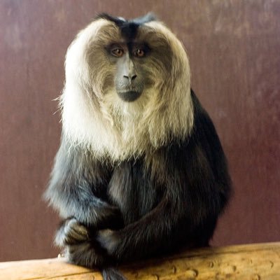 Lianherz's profile picture. Conspiracy theories, polarizing views, insane ideas and intelligent individuals. “In the age of information, ignorance is a choice” - D. Miller