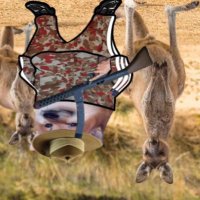 Fella from 🇦🇺🦘🐨 🐕 (@aussienafofella) 's Twitter Profile Photo Fella from 🇦🇺🦘🐨 🐕 (@aussienafofella) 's Twitter Profile Photo
