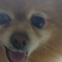 Hui Tim - @HuiTim5352 - Twitter