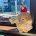 🍤ゆうき🍤 (@1_10okasi) Twitter profile photo 🍤ゆうき🍤 (@1_10okasi) Twitter profile photo