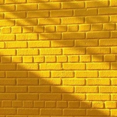 amaryllisnoun's profile picture. 