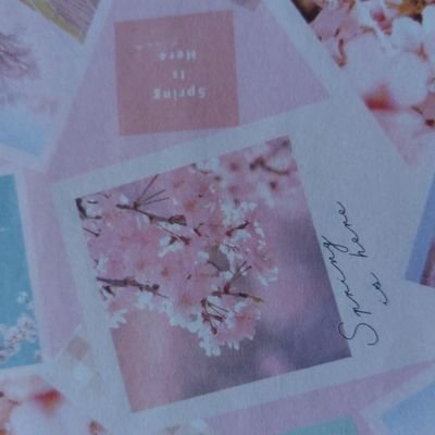 k812223511's profile picture. 