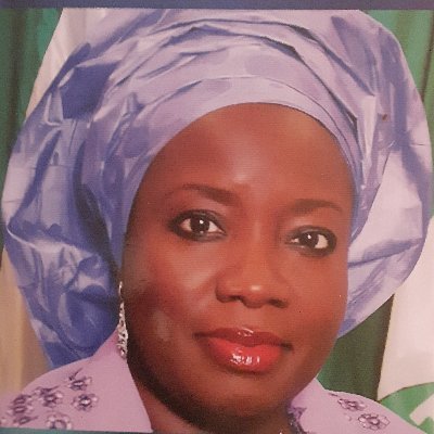 A Woman in Parliament  is a  book that chronicles  the strides  of  Mulikat Akande-Adeola, Nigeria's First Female National Parliamentary Leader.