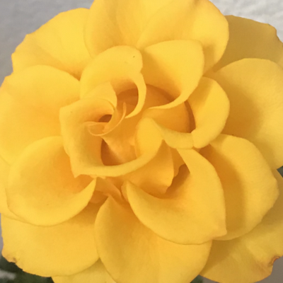 aj_sl77388's profile picture. 