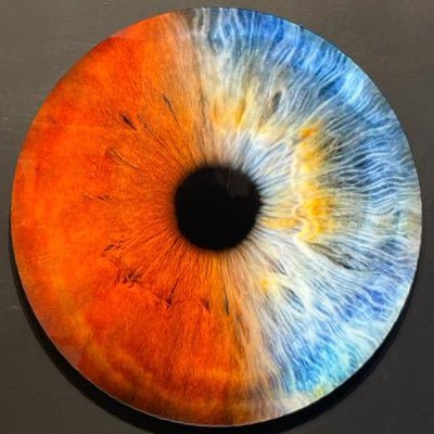 research4vision's profile picture. 