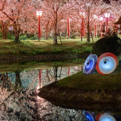 lxJh8b4MOkautdL's profile picture. 