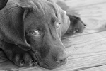 Enjoy living close to the beach and the warmer weather as I work on a novel and my boys grow.