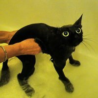 Polojasno🌤️ (@damdur_) 's Twitter Profile Photo