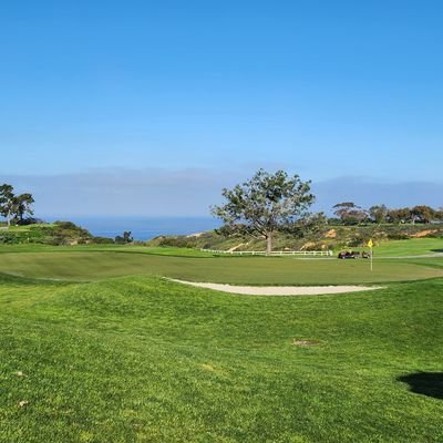 upintheair36's profile picture. 