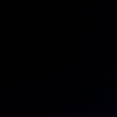 poebug43's profile picture. 