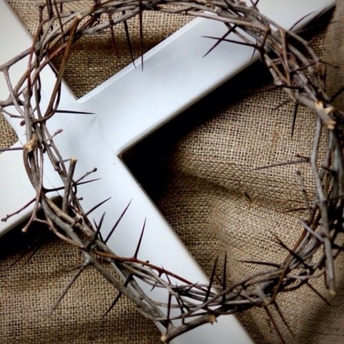 Finalstage_info's profile picture. I am just an american who is broken hearted watching his country collapse.