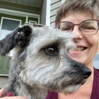 KStenhouse (@klstenhouse) 's Twitter Profile Photo