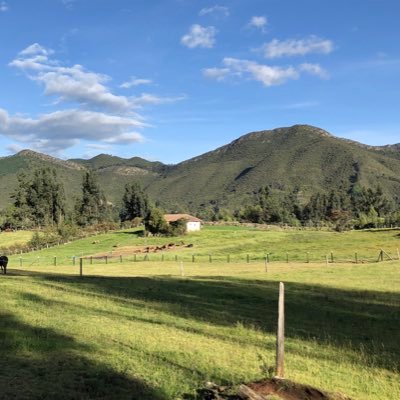 andresplaza23's profile picture. 